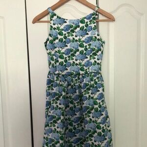 Floral Blue and Green Hydrangea  Kids Dress Polo Ralph Lauren size 12